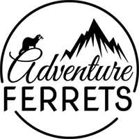 Adventure Ferrets